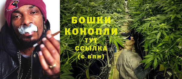 индика Нягань