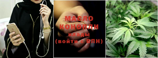 индика Нягань