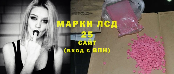 индика Нягань