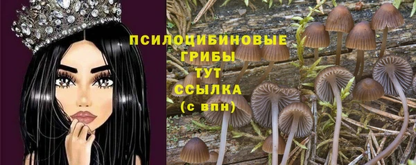 2c-b Няндома