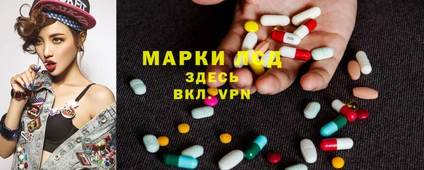 индика Нягань