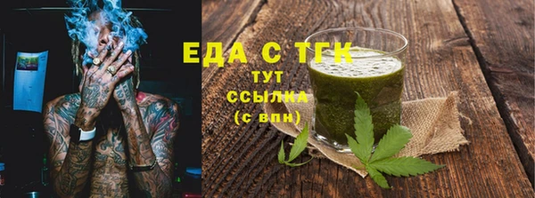 индика Нягань