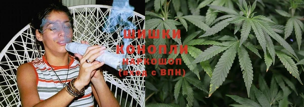 индика Нягань