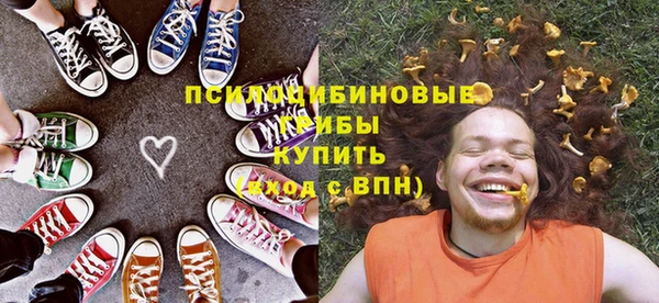 эйфоретик Новодвинск