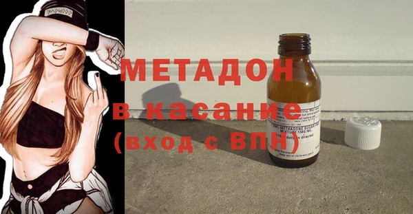 индика Нягань