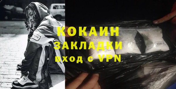 индика Нягань