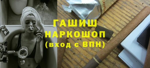 индика Нягань