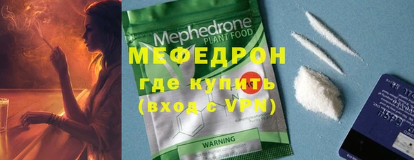 индика Нягань